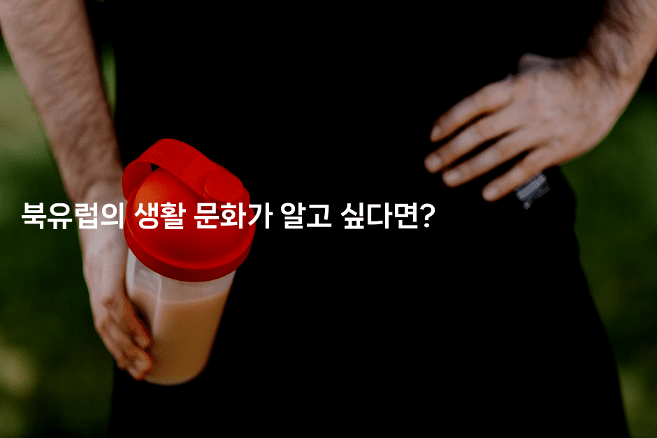 북유럽의 생활 문화가 알고 싶다면? 2-유로니