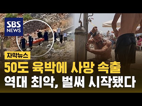 50도 육박에 유럽도 사망 속출…역대 최악 폭염 벌써 시작됐다 (자막뉴스) / SBS