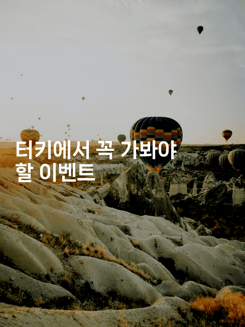 터키에서 꼭 가봐야 할 이벤트 2-유로니