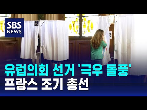 유럽의회 선거 '극우 돌풍'…프랑스 조기 총선 / SBS