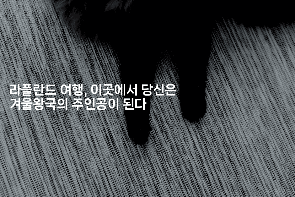 라플란드 여행, 이곳에서 당신은 겨울왕국의 주인공이 된다2-유로니