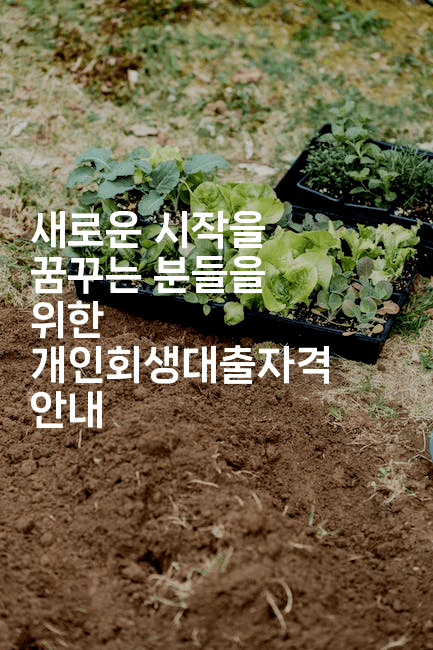 새로운 시작을 꿈꾸는 분들을 위한 개인회생대출자격 안내-유로니