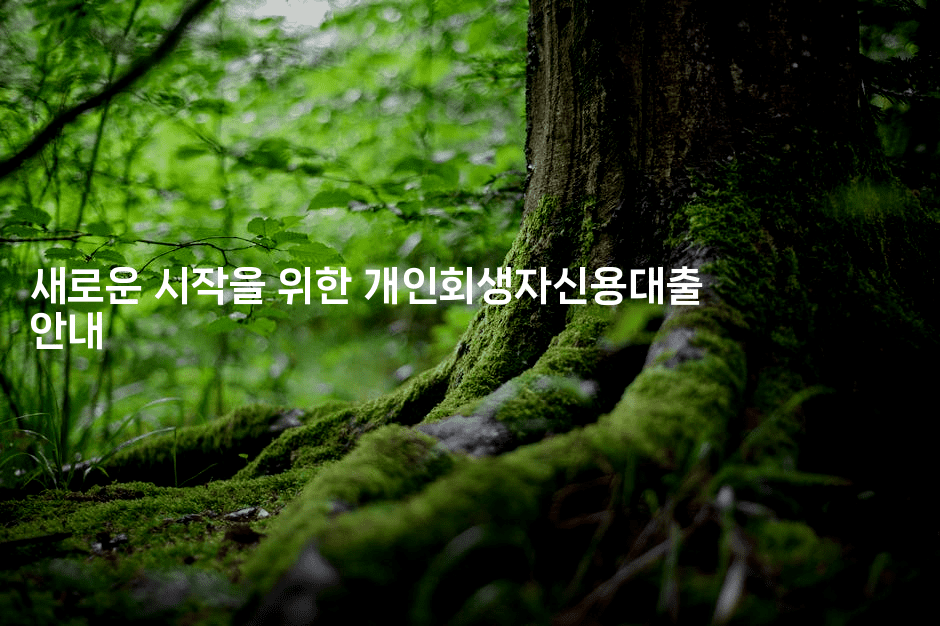 새로운 시작을 위한 개인회생자신용대출 안내-유로니