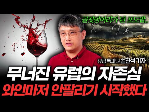 와인마저 안 팔리는 유럽, 도대체 뭐가 문제였을까 (유럽특파원 손진석 기자 1부)