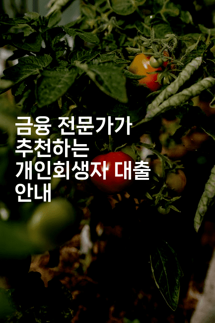 금융 전문가가 추천하는 개인회생자 대출 안내-유로니