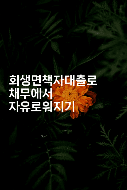 회생면책자대출로 채무에서 자유로워지기-유로니