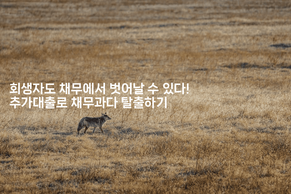 회생자도 채무에서 벗어날 수 있다! 추가대출로 채무과다 탈출하기-유로니