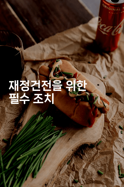 재정건전을 위한 필수 조치-유로니